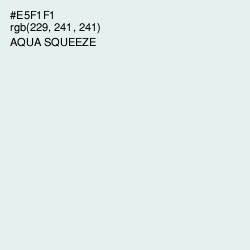 #E5F1F1 - Aqua Squeeze Color Image